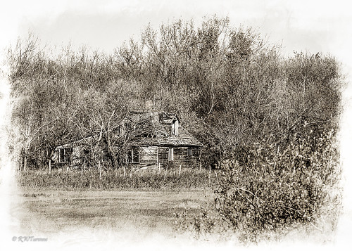 texture abandoned monochrome farmhouse