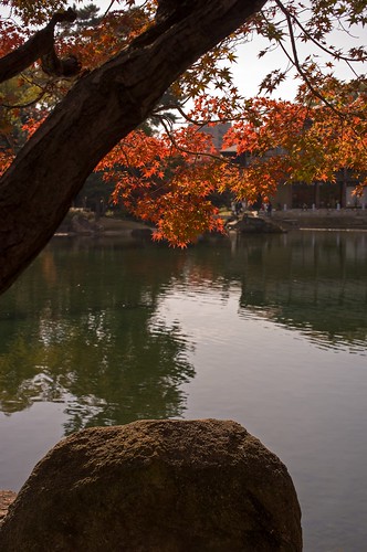 Autumn leaves in Tokugawa-en garden No.1.