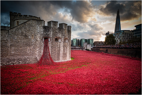 london ceramic poppy publicart remembrance moat toweroflondon johnturp bloodsweptlands seasofred