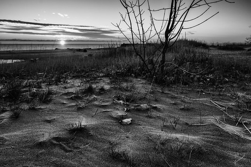 county blackandwhite beach monochrome wisconsin sunrise sand parks wideangle lakemichigan grantpark tamron wideanglephotography southmilwaukee milwaukeecountyparks wisconsinparks tamronspaf1024mmf3545diiildasphericalif canont3i