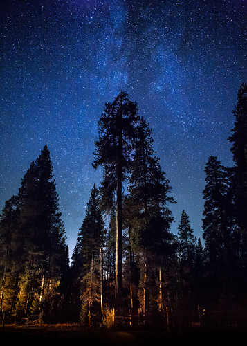 california blue camping mountains tree nature night forest stars landscape outdoors woods unitedstatesofamerica nationalforest northamerica campground sierranevada celestial conifer milkyway mountainrange sequoianationalforest naturallandscape outdooractivity outdooractivities