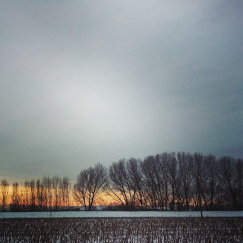 sky italy sun snow square landscape squareformat lombardia cremona iphoneography instagramapp uploaded:by=instagram