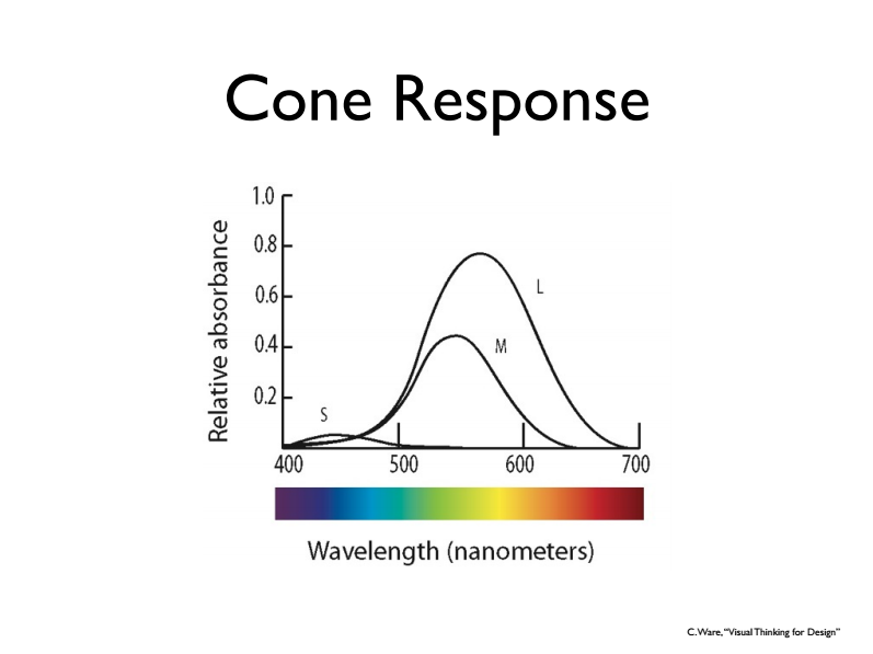 Cone Response