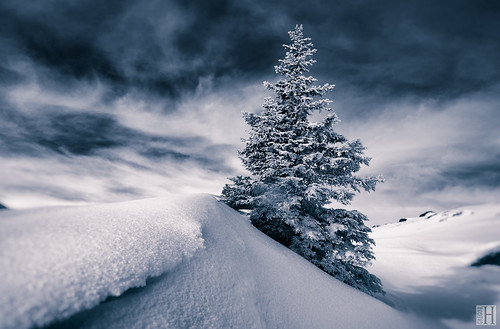 winter sky snow tree austria triangle frost cloudy tint marbled hoar vorarlberg sonnenkopf