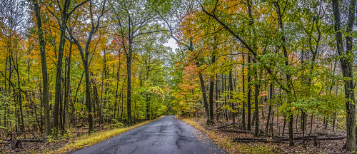 autumn connecticut hubbardpark meriden originalnef stitch johnjmurphyiii panorama usa 06451 foliage