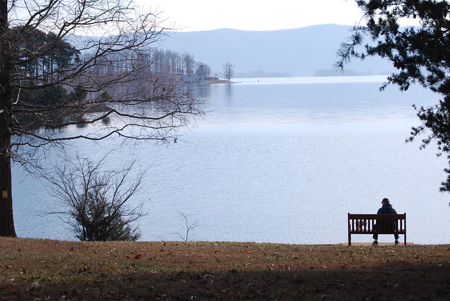 Smith Mountain Lake State Park is open year-round for cabins and day use