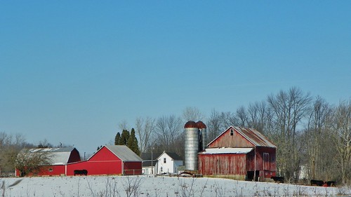 barn farm acres vandolah