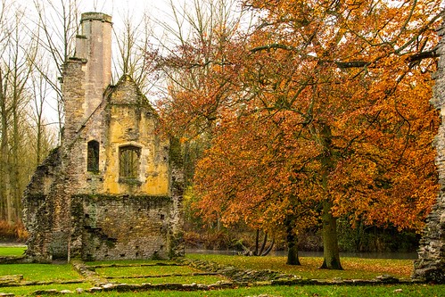 autumn landscape golden ruins minster soe oxfordshire lovell