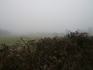 Misty view