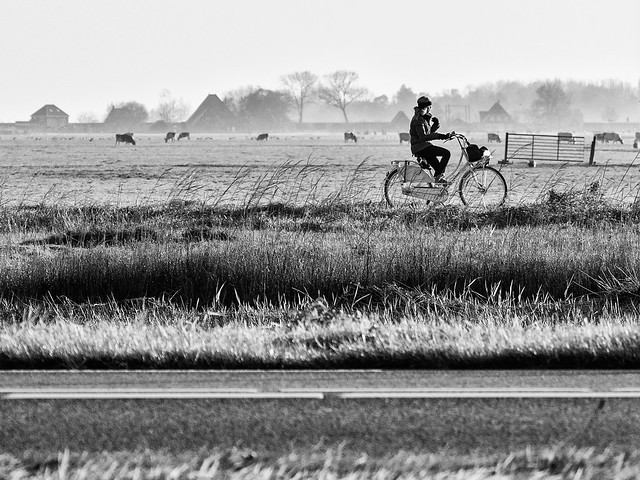 Dutch-Cyclist