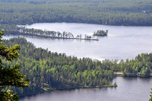 summer lake forest finland landscape geotagged ks july kuusamo fin ruka 2014 valtavaara koillismaa 201407 pohjoispohjanmaa purnujärvi konttaisjärvi 20140709 geo:lat=6620526188 geo:lon=2921084667