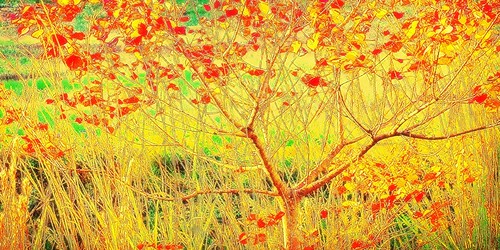 autumn sony chipleyflorida washingtoncountyflorida
