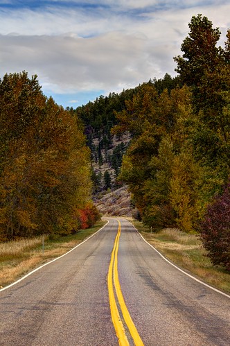 road autumn trees mountains fall highway montana mt wolfcreek