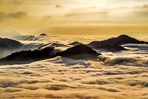 風景 阿里山 雲海 山景 雲瀑 色溫 隙頂 二延平 傳說路
