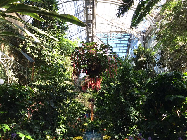 US Botanic Garden Conservatory