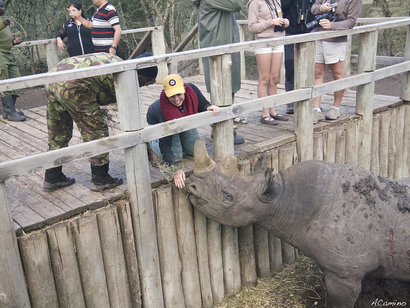 Parque de Sweetwaters: cara a cara con el Rinoceronte Negro - 12 días de Safari en Kenia: Jambo bwana (34)
