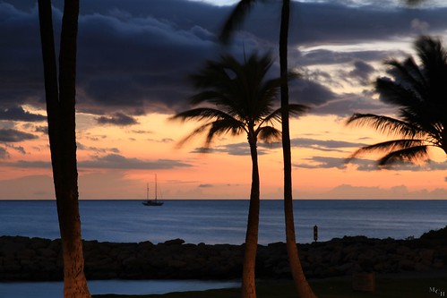 photosbymch landscape hawaii oahu sunset canon usa longexposure inexplore explored palms sky clouds goldenhour sailboat
