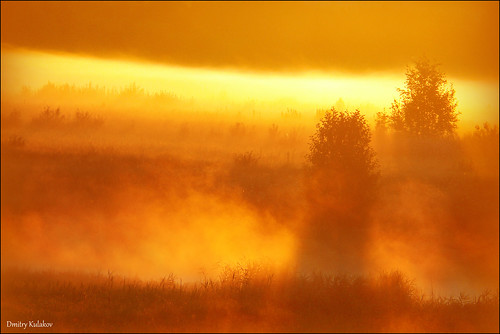 lake sunrise russia yaroslavloblast