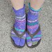Shorty Friday Harbor tabi socks