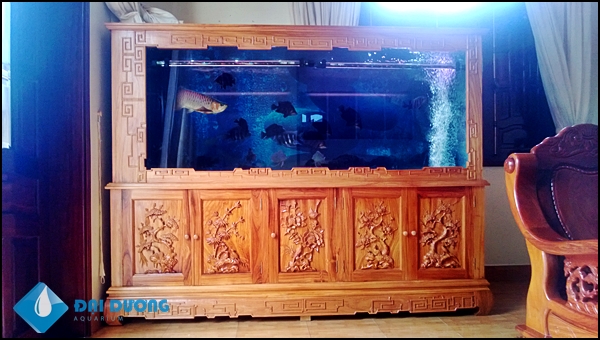 Bể cá rồng chạm tinh tế tại Bảo Lộc
