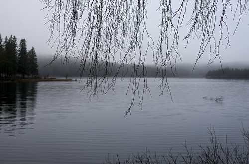 lake nature water oslo norway fog woods foggy nordmarka liggern