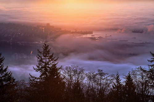 city morning sunlight weather fog vancouver clouds sunrise dawn cityscape ngc foggy cityscapes columbia british vancouverbc vancity vancouverisawesome insidevancouver vancitybuzz bunlee bunleephotography fogcouver veryvancouver