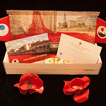 Poppies of rememberance