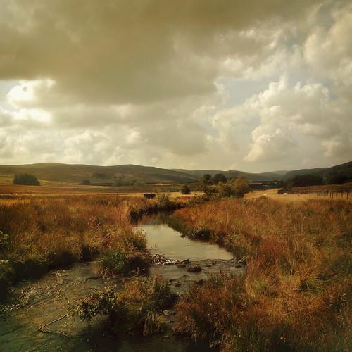 painterly cumbria hipstamatic jimmylens blankofilm iphone4s jollyrainboflash