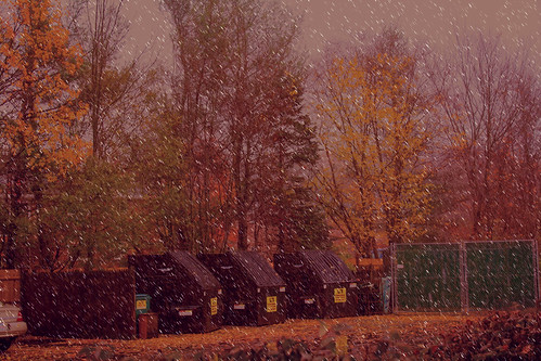 november autumn snow fall boston newengland snowing