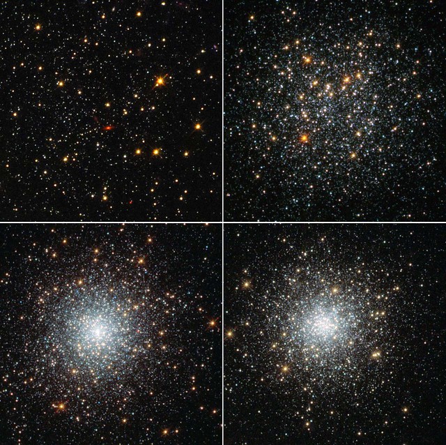 Fornax Globular Clusters