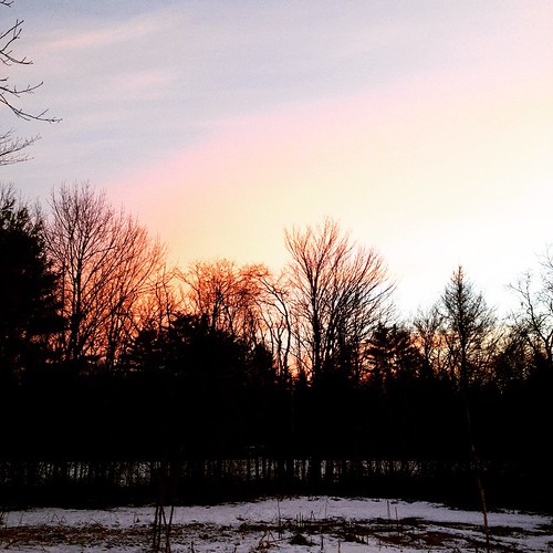 sunset chickens square farm maine ducks traditions wintersolstice squareformat yule ludwig rituals farmlife solsticetree iphoneography bradstreetfarm instagramapp uploaded:by=instagram december212014