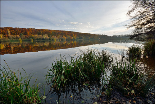 autumn forest automne landscape nikon sigma alsace paysage reflexion reflets eaux étangs d7100 foréts ex1020f456dchsm