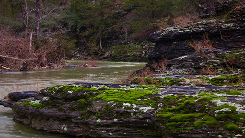 winter fall nature water rock forest river season wildlife rapids arkansas cossatot