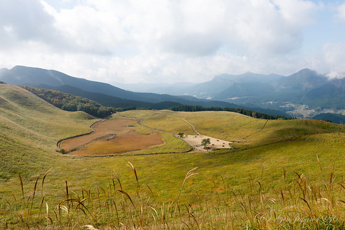 2014 ススキ 奈良県 旅行 曽爾村 曽爾高原 風景 日本 japan travel nikond600 distagont225 zf2 nara landscape carlzeiss