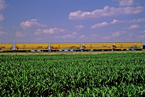 cornfields csx csxtrains csxgarrettsubdivision coveredhoppercars chicagonorthwesterncoveredhoppers