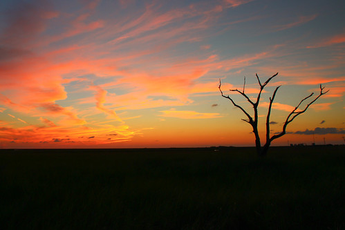 sunset tree canon louisiana coastal wetlands marsh gulfcoast lafourcheparish goldenmeadow canonrebel3ti ilobsterit