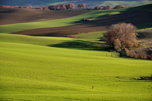 verde green landscape countryside vert campo paysage campagne tarnetgaronne midipyrénées fiftyshadesofgreen