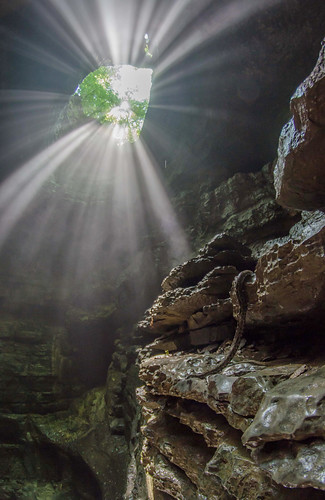 waterfall snake alabama gap pit cave stephens scottsboro