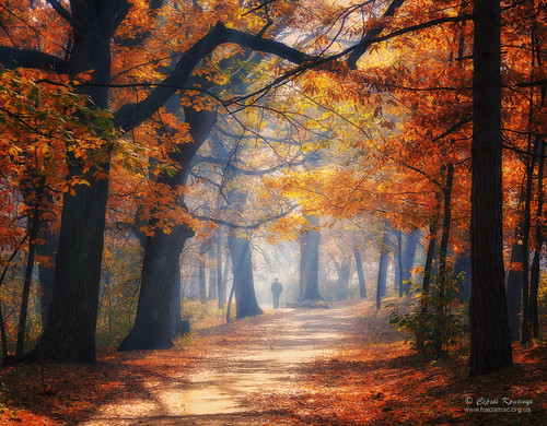 autumn fall landscape ukraine