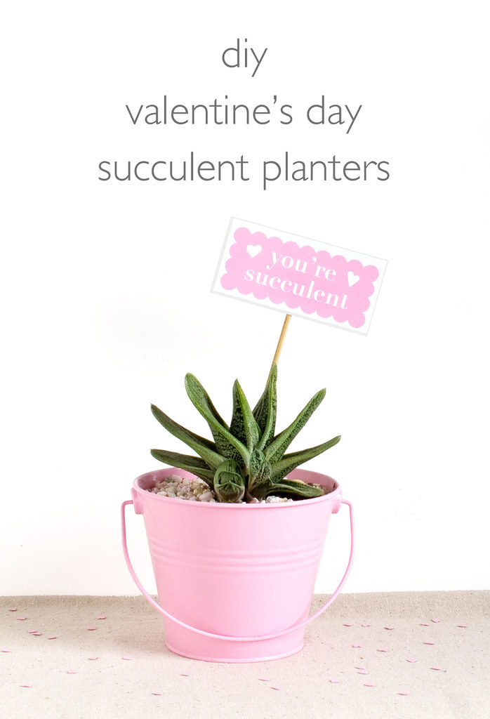 DIY Valentine's Day Succulent Planter with Free Printable