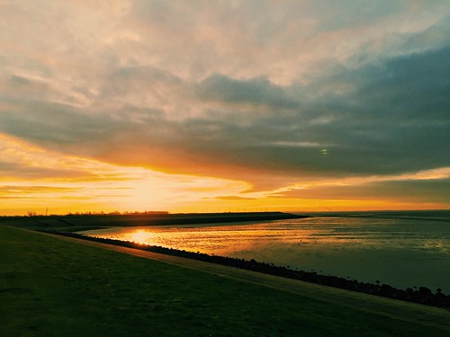 morning sky sun holland netherlands landscape nederland zeeland ochtend landschap vscocam