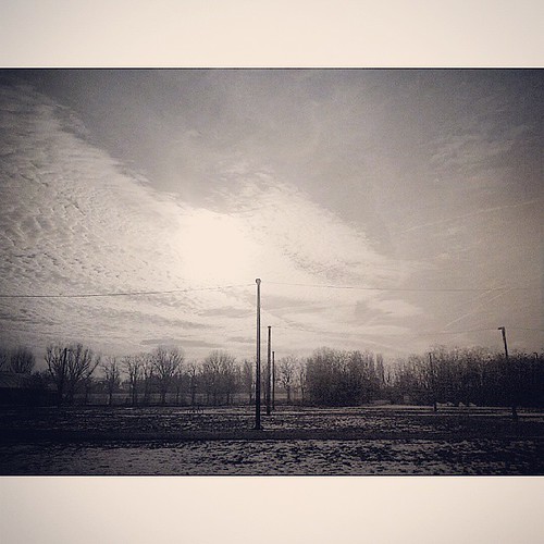 bw square landscape squareformat cremona iphoneography instagramapp uploaded:by=instagram