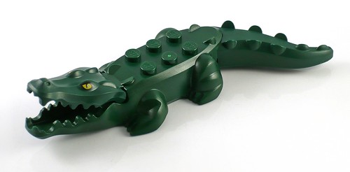 crocodile01