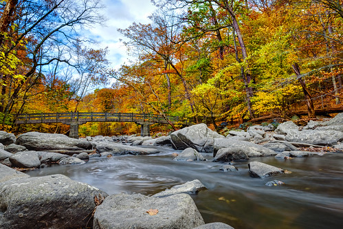 longexposure bridge autumn fallleaves creek washingtondc stream fallcolors boulders rockcreekpark rockcreek rapidsbridge insiteimage