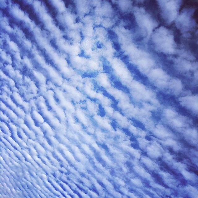 THIS SKY!!! #sky #skyporn #clouds #cloudporn #blue #nature #southflorida #954 #beautiful