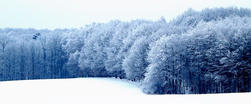blue schnee winter white snow nature forest landscape nikon frost god snowy natur verschneit january creation coolpix blau landschaft wald januar gott 2014 weis schöpfung l820 caledoniafan nikoncoolpixl820 caledonianfan