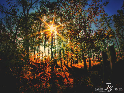 sky glow dslr shadow skies t1i camping iphoneedit beautiful nature rokinon sun canon beauty eos peaceful fisheye snapseed campout halloweennights light teamcanon vignette orange shadows wintonwoods yellow jamiesmed grass mextures gold reflection hdr sunset blue handyphoto trees 2014 explore explored autostitch lens tree geotagged geotag creepycampout facebook landscape cincinnati prime fixed wide focus manual ohio midwest october autumn fall rebel tumblr photography celebrate celebration park queencity halloween