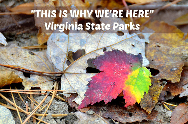 Virginia State Parks in the fall - Staunton River State Park
