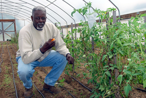 David Backus enjoys a tomato that he grew in his high tunnel. NRCS photo by Charlie Rahm.