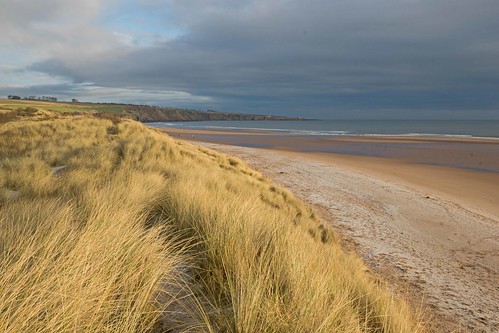morning sea beach scotland dunes north